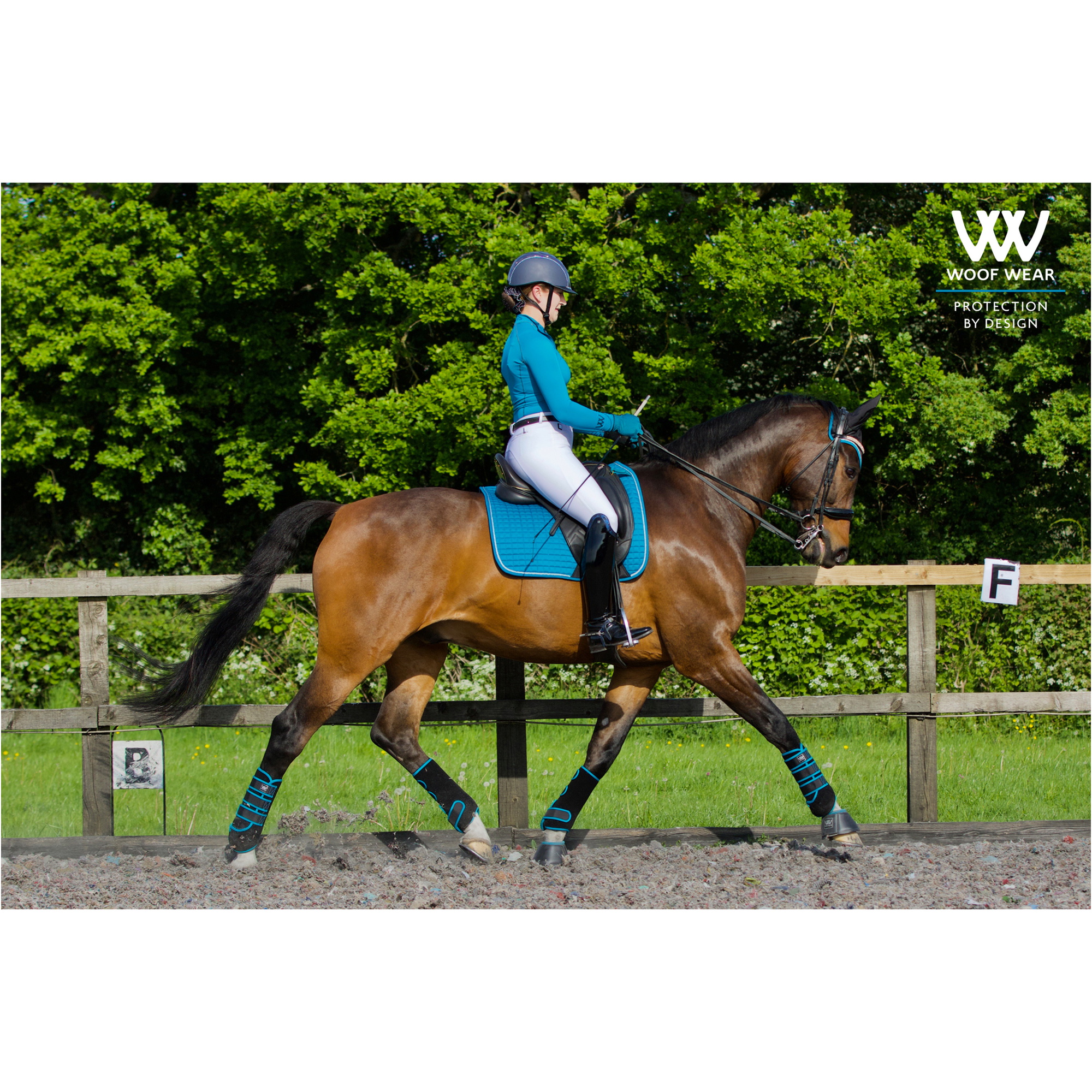 Woof Wear Womens Performance Riding Shirt WA0001 - Ocean
